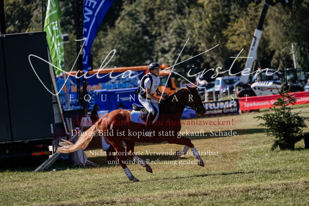 DSC_1343 | Pferde- und Turnierfotografie in Westsachsen. Pferdeportraits, Auftragszeichnungen und intuitive Kunst.