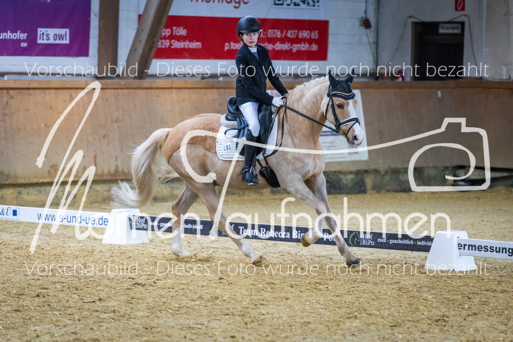 Sth-WBO25-EDr-073 | MomenTaufnahmen Pferdesportfotos