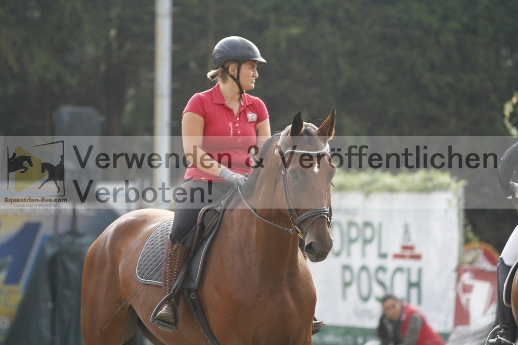 Klasse A 4jährige (8) | equestrian-live-com
