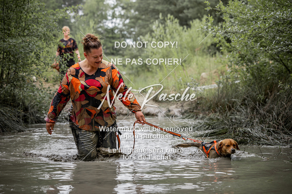 nelerasche_so0930-1000_414 | nelerasche