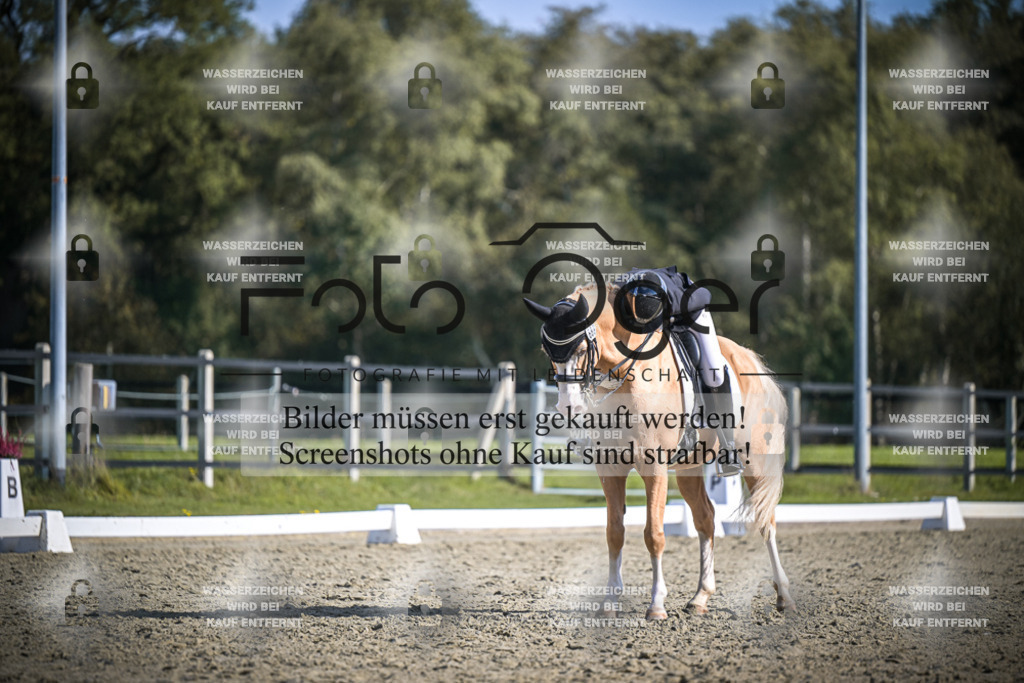 DOS_2270 | Entdecke hochwertige Reitturnierfotos von Foto Oger. Professionell, emotional und authentisch – jetzt Lieblingsmomente im Shop bestellen.Deutschlandweite Turnierfotografie. - Realisiert mit Pictrs.com