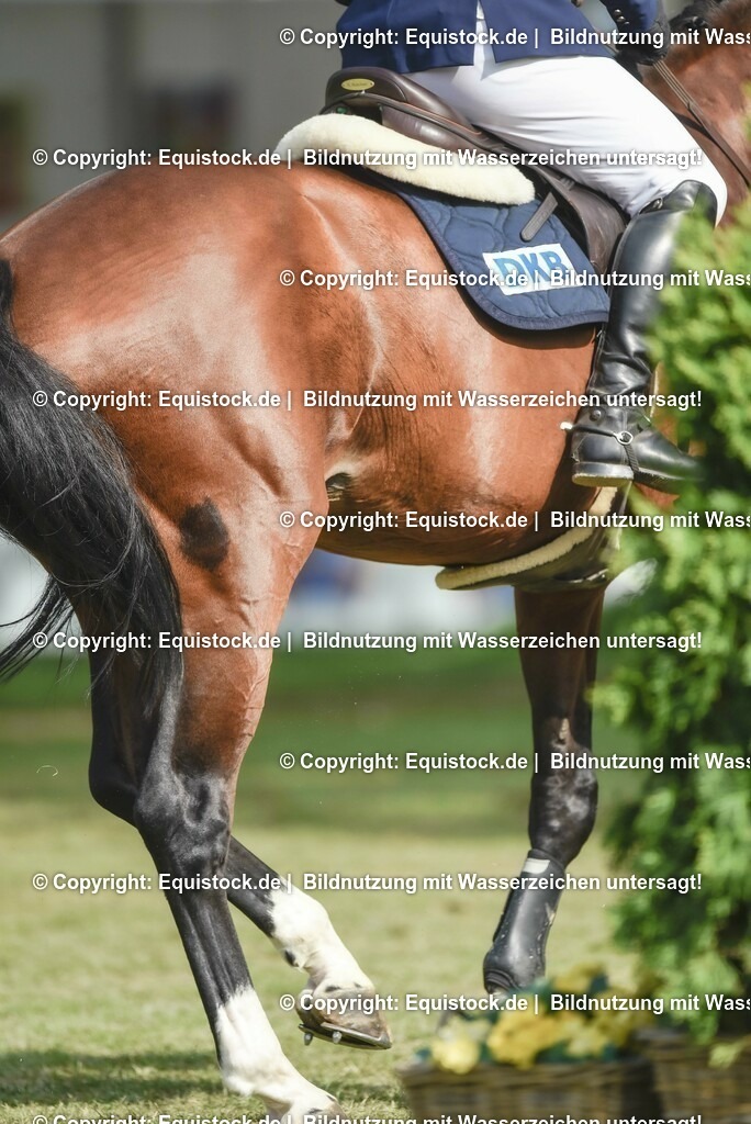 20230529_20_CSI4_Großer-Preis_0556 | equistock