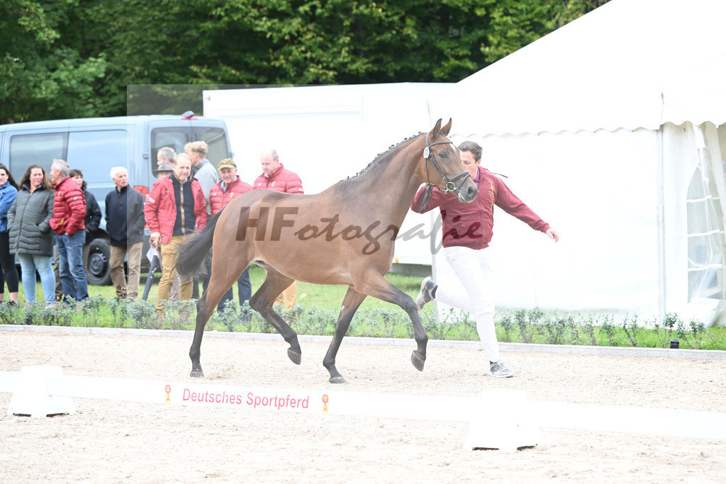 Kat-Nr. 5 Caida_Arzt_49220832 | hf-fotografie - Realizzato con Pictrs.com