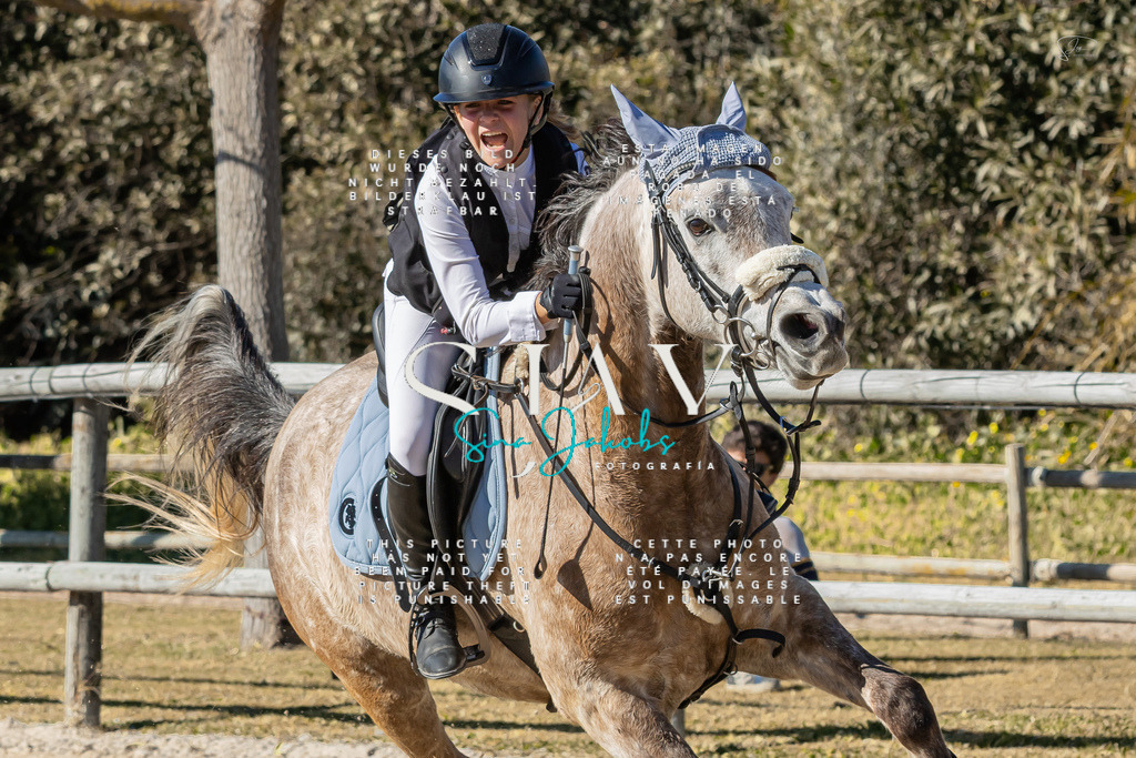 IMG_1439 | s-jay-photography - Realisiert mit Pictrs.com