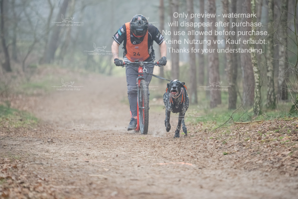 Scooter1-91 | stephaniefillaphotographie - Realisiert mit Pictrs.com