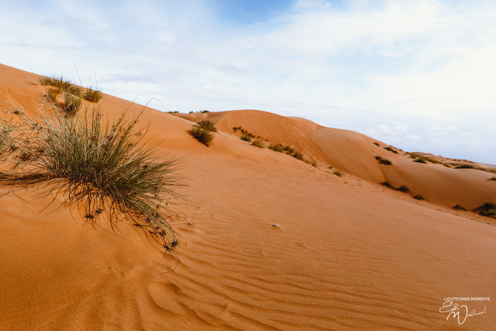 Al Salam Desert Camp, Al Qabil, Bidiyya, Oman | Herzlich willkommen auf meiner Seite! Ich bin Elke Wallnisch, Deine Fotografin für lichtstarke Momente. Der Name steht für alles, was mich mit der Fotografie verbindet: Das Licht und seine machtvolle Wirkung auf eine Situation oder unsere Stimmung - Realisiert mit Pictrs.com