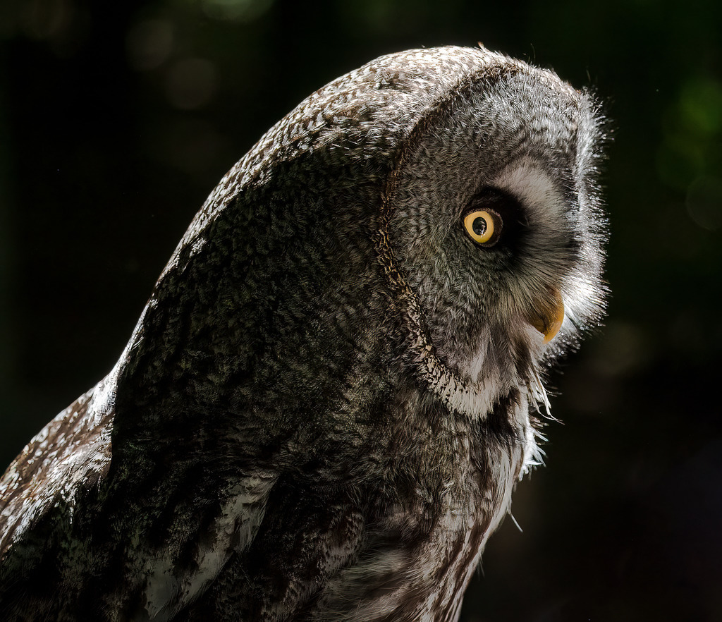 P1011087-Bearbeitet-2017-Bearbeitet-2017-LR | Natur im Moment - Realisiert mit Pictrs.com