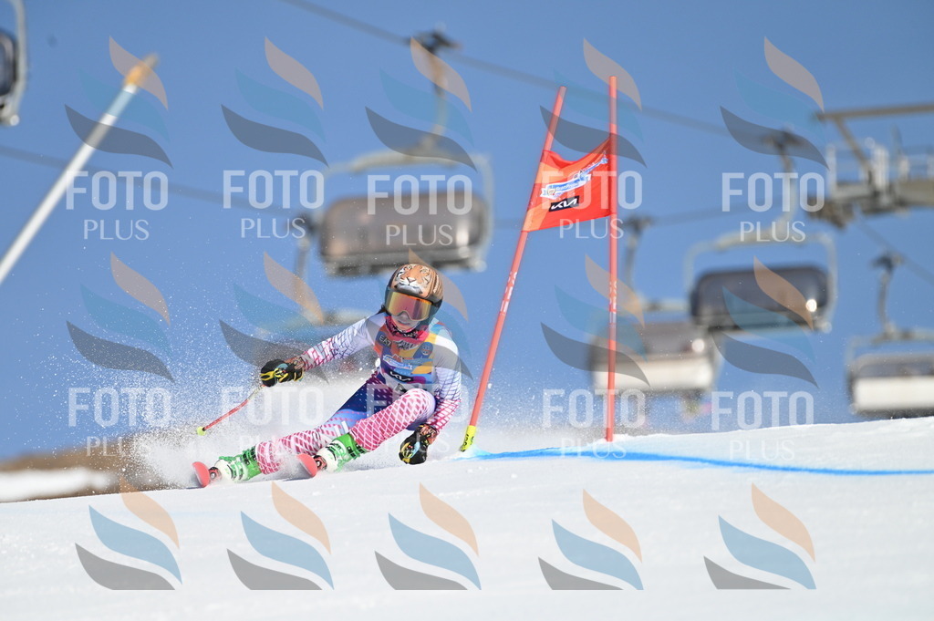 BGV_7540 | holidayphoto