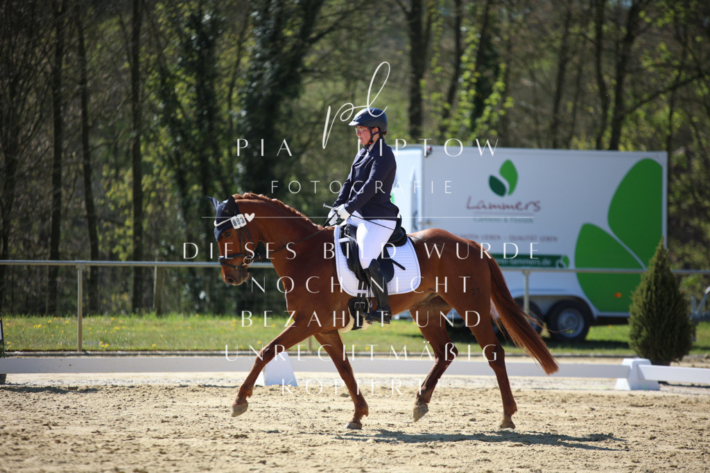 IMGT9892 | pl-fotografie