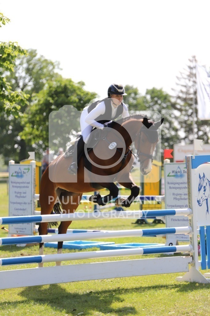 IMG_6564 | Pauline Ullmann Photography - Realisiert mit Pictrs.com