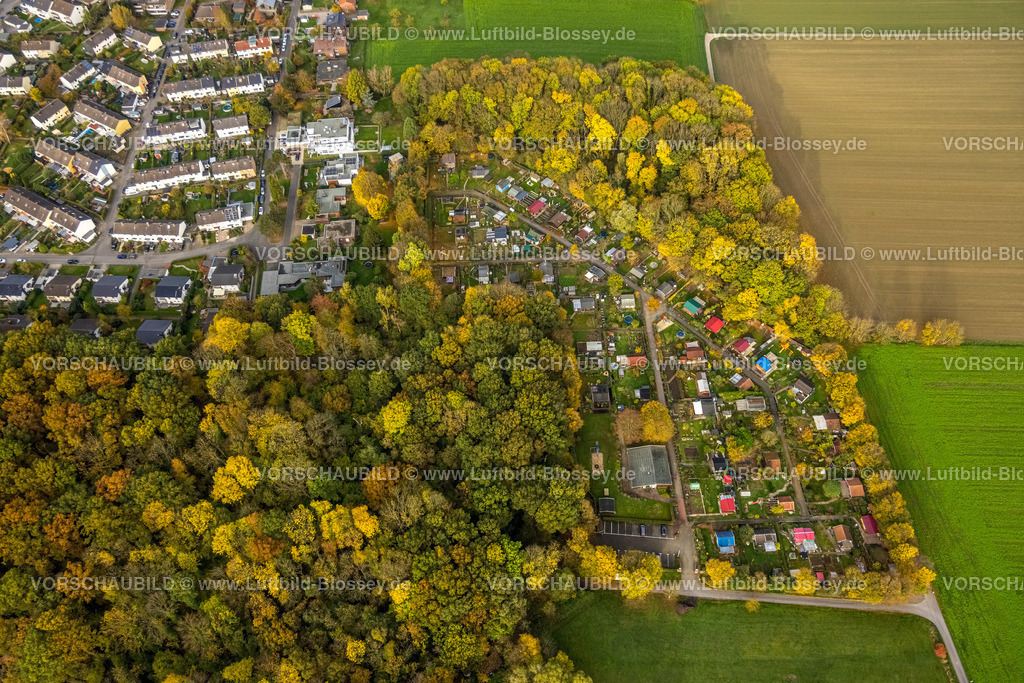 Hamm221012266 | Luftbild, Kleingartenanlage Zur Schönen Aussicht, Herbstfarben, Rhynern, Hamm, Ruhrgebiet, Nordrhein-Westfalen, Deutschland