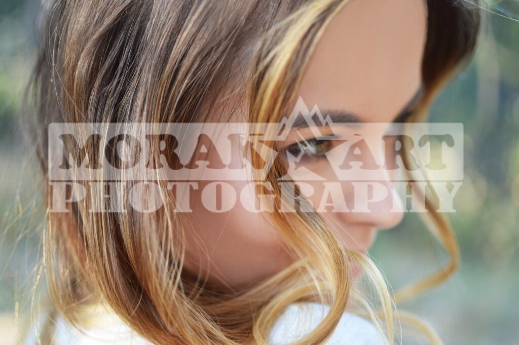 3-13-1025-682 | morakartphoto
