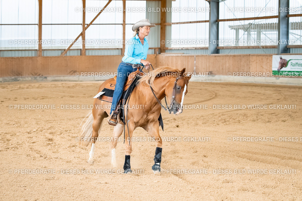 DSC02186 | Pferdegrafie