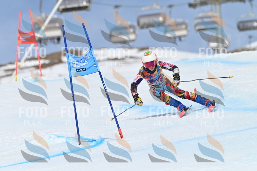 BGV_1199 | holidayphoto