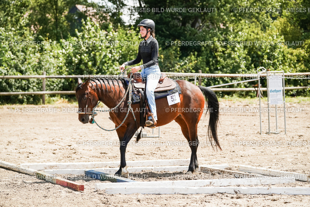 DSC07603 | Pferdegrafie