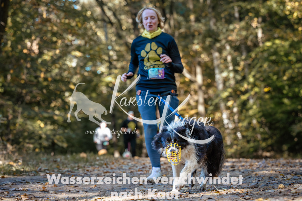 1137_ZZ92870 | kk-dogfotos