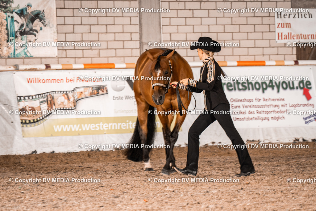 ZH100051 | dv-media-shop - Realisiert mit Pictrs.com