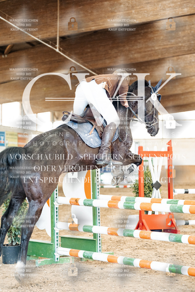 CK905318 | Turnierfotografie Pferdefotografie Trier Rheinland-Pfalz Pferdesport Reitsport Tierfotografie Sportfotografie Pferdevideo Pferdevideografie Equestrianvideography equestrianphotography  - Realized with Pictrs.com