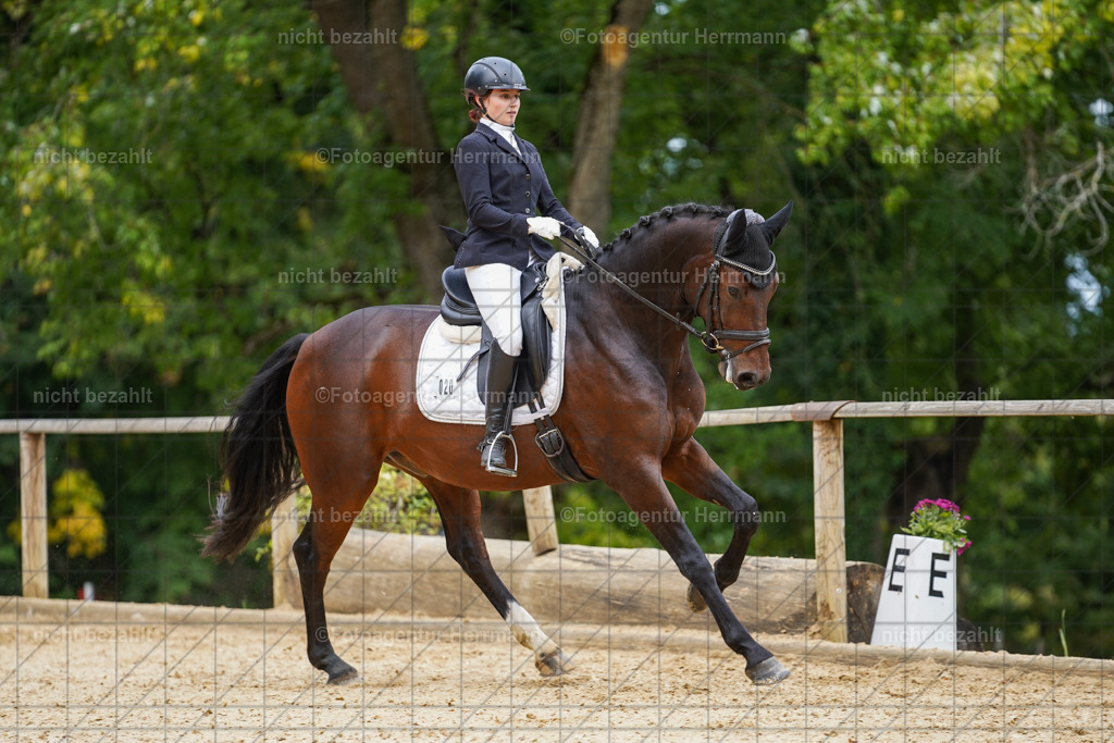 20231007-SN_00438 | Diessen am Ammersee, 2023, Dressur- und Springturnier, Reitsport, Turnierfotografie, Pferdebilder, Reitbilder, Turnierfotografen Bayern, Fotoagentur Herrmann