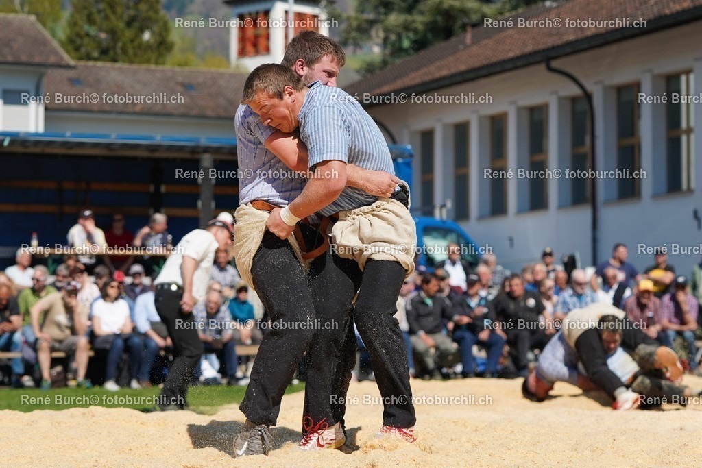 20220418-DSC07645 | René Burch leidenschaftlicher Fotograf aus Kerns in Obwalden.  Hier finden sie Sport, Landschaft und Natur Fotografie.
 - Realisiert mit Pictrs.com