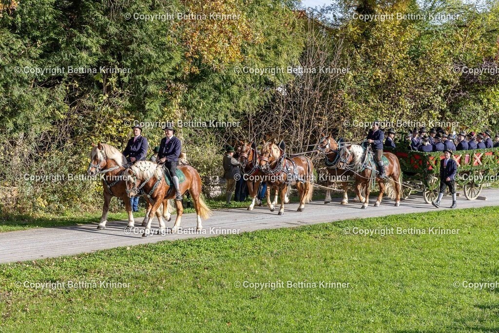 LBT24-279 | foto-bettina-krinner - Realisiert mit Pictrs.com