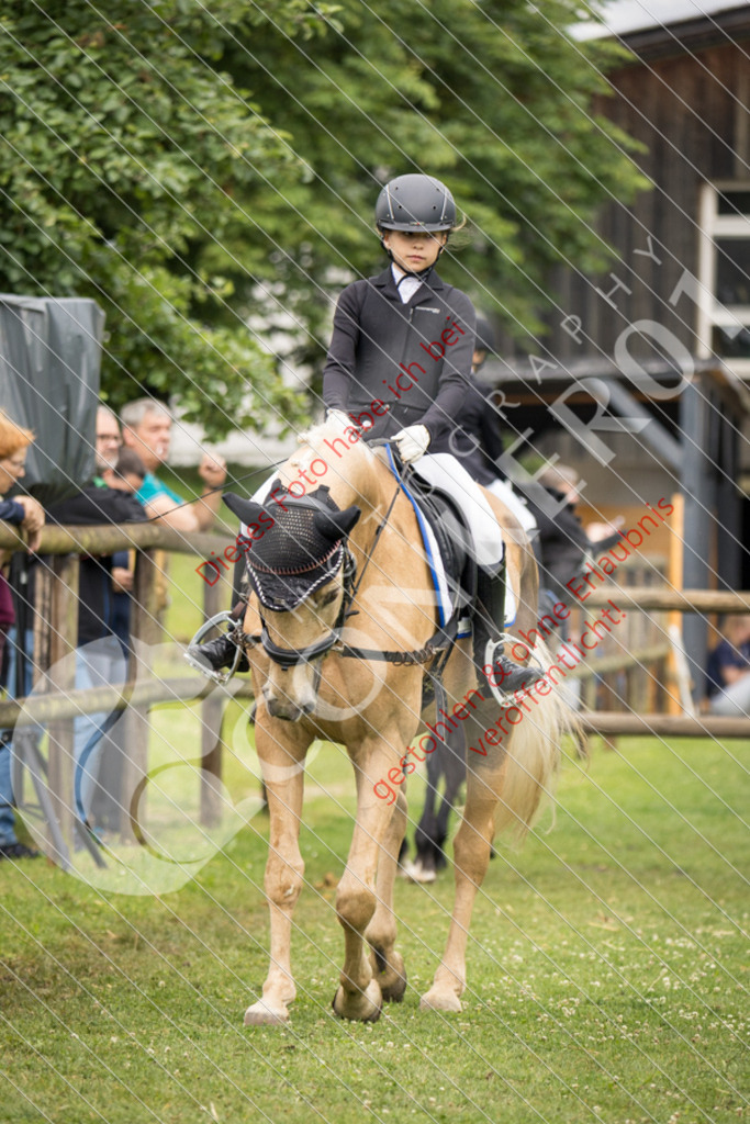 IMG_1648 | Sport-, Event- und Tierfotos in Profiqualität. Einfach auswählen, bestellen und herunterladen. Dein Moment – perfekt festgehalten.
