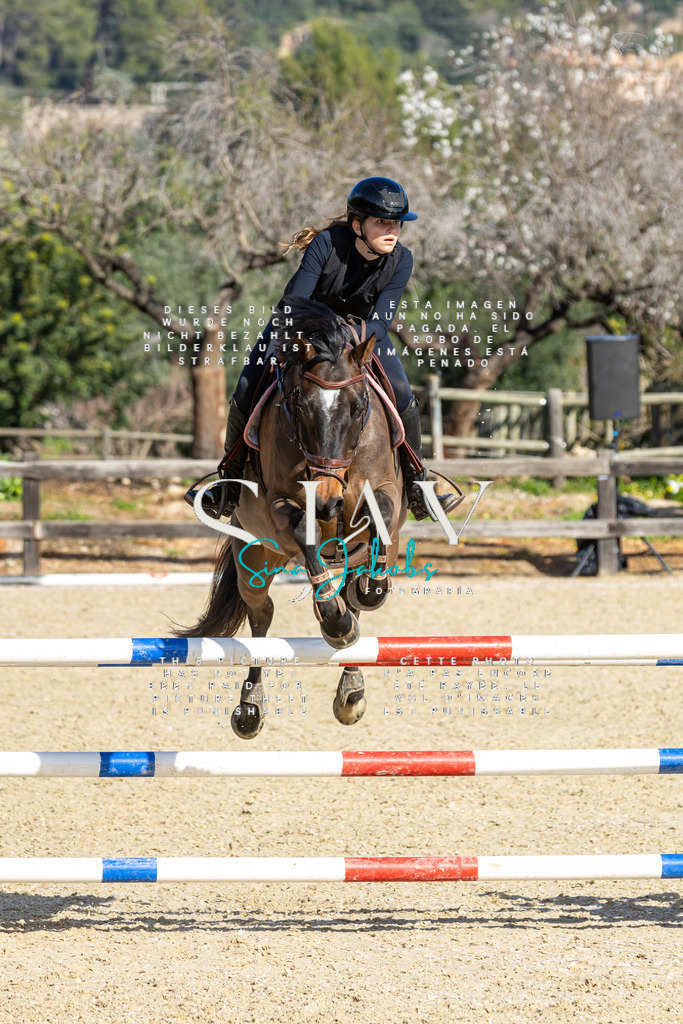 IMG_4302 | s-jay-photography - Realisiert mit Pictrs.com