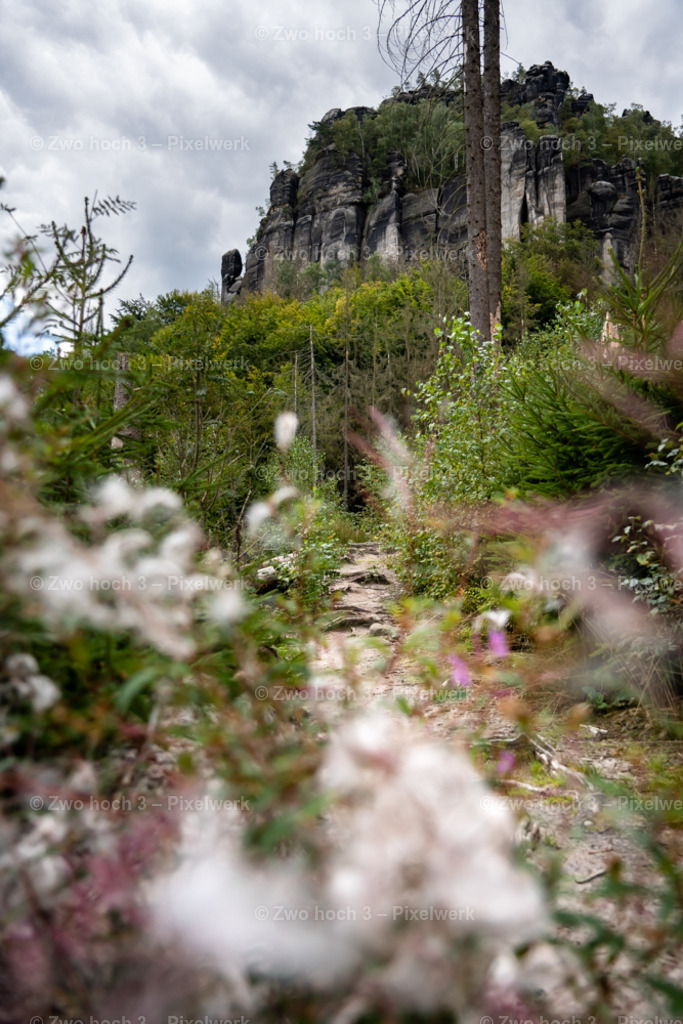 Koenigsweg_Nahe_Friensteinaufstieg_Frienstein_Felsen_Pfad | 2022-09-02_Waldbrandgebiete_2 - Realisiert mit Pictrs.com