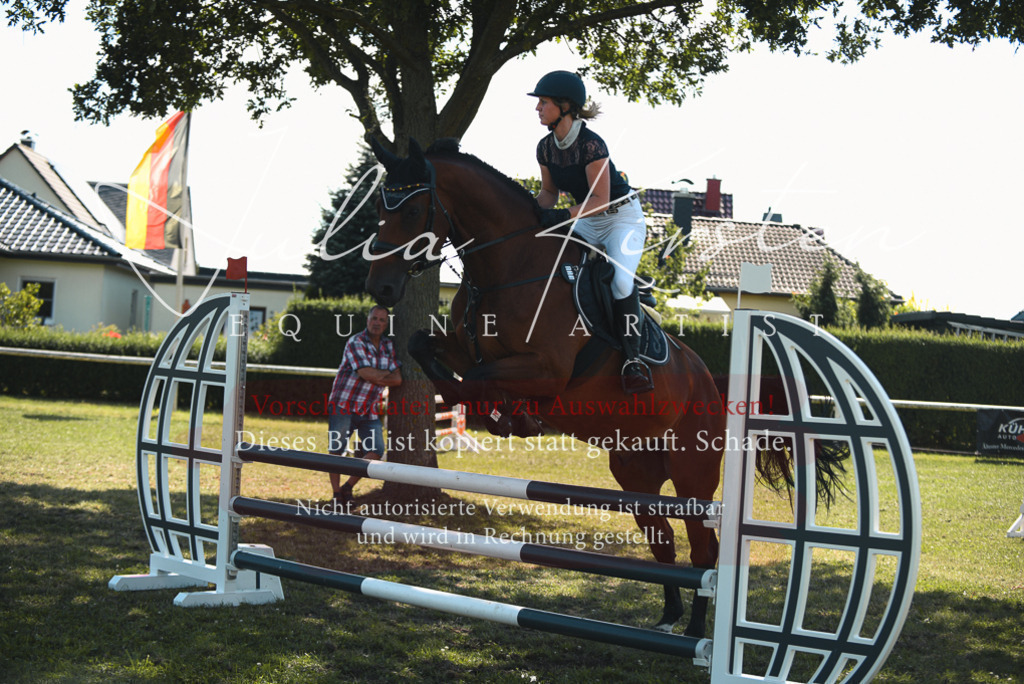 DSC_7041 | Pferde- und Turnierfotografie in Westsachsen. Pferdeportraits, Auftragszeichnungen und intuitive Kunst.