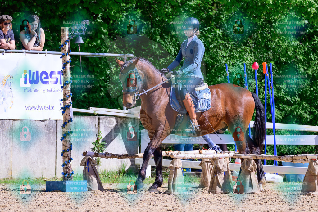 01052026-Giesenbach-02-Stiltrail-0722 | Fokus Hufschlag Fotografie - Realisiert mit Pictrs.com