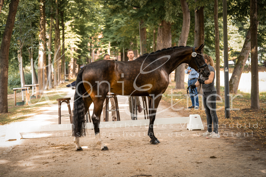 FrPfM00170 | Leoni Ertmer Photography - Realisiert mit Pictrs.com