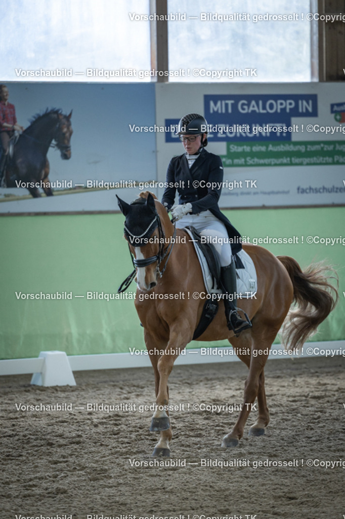 _D5A0467 | Emotionale Pferde- & People-Fotografie rund um Heidelberg, Leimen & Umgebung. Natürliche Fotos von Pferd, Mensch & Familie. Jetzt Termin sichern!