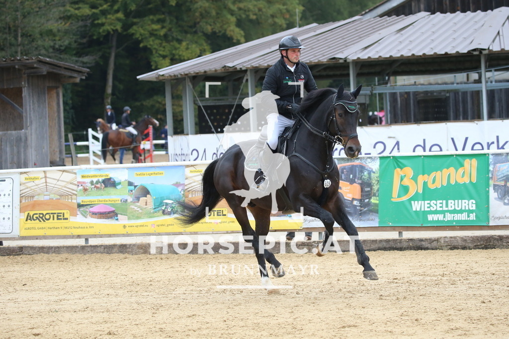 DL2Q1625 | Willkommen bei Brunnmayr - Design & Fotografie – Ihrem Spezialisten für Reitturniere und Pferdeveranstaltungen in Oberösterreich, Salzburg und Bayern! Seit über 17 Jahren sind wir leidenschaftlich dabei.