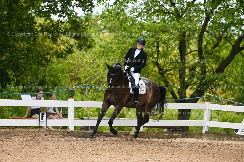 20230715_07_Dressurpferdeprfg. Kl.L_0123 | equistock