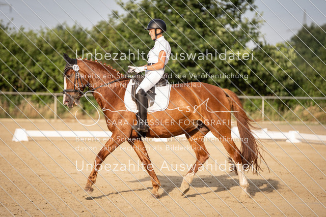 SD_Verl_06976 | saradresslerfotografie - Realisiert mit Pictrs.com