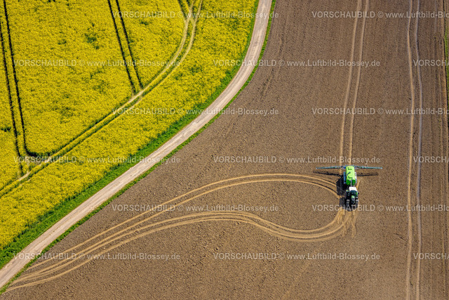 Breckerfeld240504834 | Luftbild, landwirtschaftliche Flächen mit Rapsfeld, Traktor und Landmaschine bei der Feldarbeit, Formen und Farben, Brenscheid, Breckerfeld, Ruhrgebiet, Nordrhein-Westfalen, Deutschland