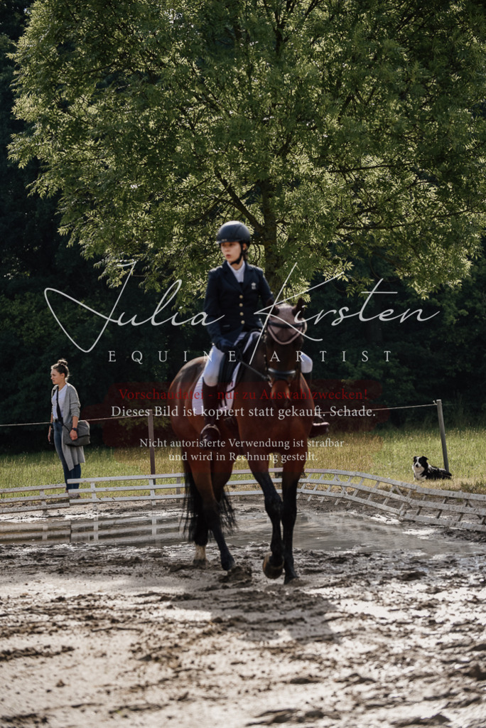 DSC_8543 | Pferde- und Turnierfotografie in Westsachsen. Pferdeportraits, Auftragszeichnungen und intuitive Kunst.