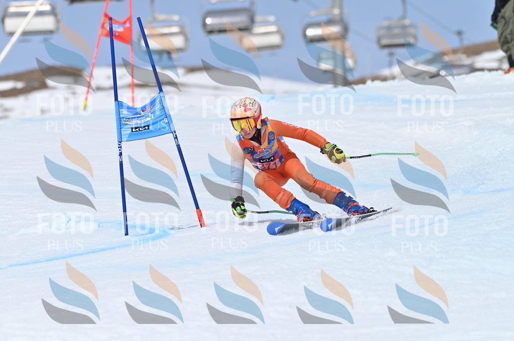 BGV_4050 | holidayphoto