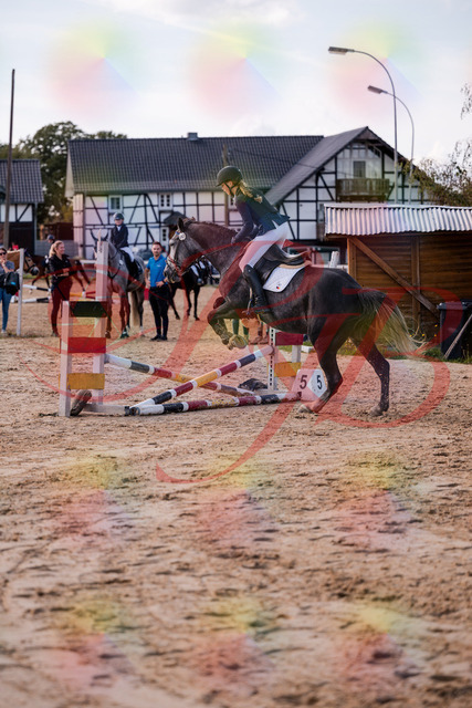 2026_10_03_Siefer-Hof_144927_Z81_27414818 | Professionelle Reitsport-, Turnier- und Eventfotografie von Robert Broda. Galerien mit ausgewählten und bearbeiteten Bildern direkt online ansehen und bestellen.