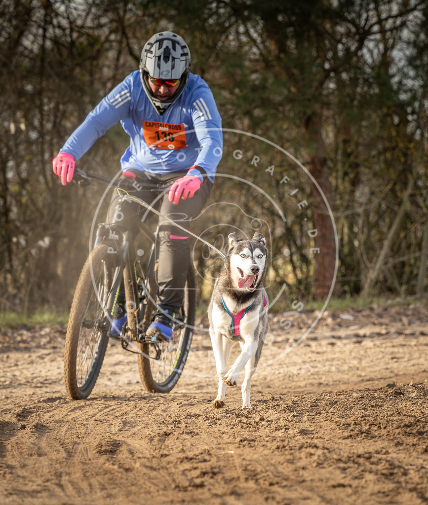 Pfotenfotografie_DV3A8755 | Hundefotografie, Tierfotograf, Pfotenfotografie, Fotoshooting Hund, Hunde Portrait, Hundesport, Hundeportraits, Heideshooting, Hunde, Sportfotograf, Hundefotograf, Turnierhundsport, THS,  - Realisiert mit Pictrs.com