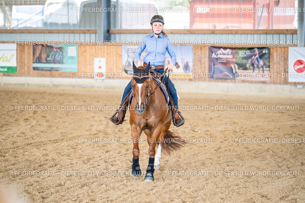 DSC03101 | Pferdegrafie