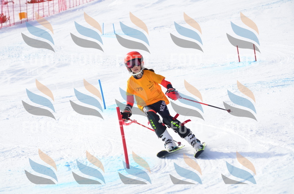 C7976 | holidayphoto