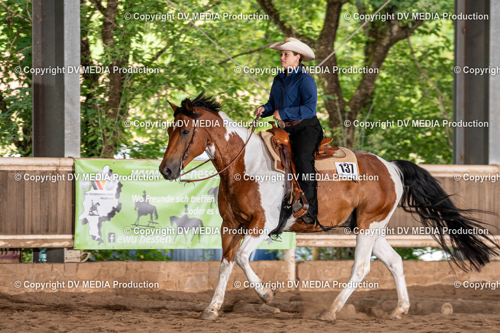 Erbach Tag 1-1114 | dv-media-shop - Realisiert mit Pictrs.com