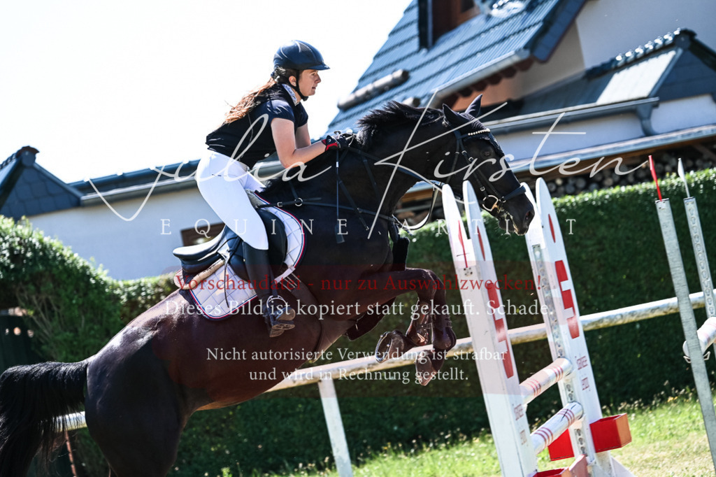 DSC_0514 | Pferde- und Turnierfotografie in Westsachsen. Pferdeportraits, Auftragszeichnungen und intuitive Kunst.