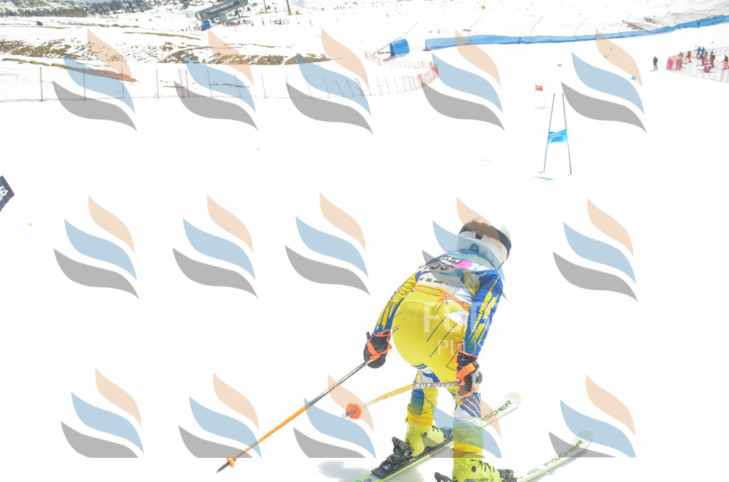 _ELE6417 | holidayphoto