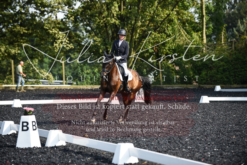 DSC_3123 | Pferde- und Turnierfotografie in Westsachsen. Pferdeportraits, Auftragszeichnungen und intuitive Kunst.