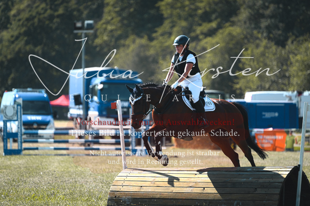DSC_8143 | Pferde- und Turnierfotografie in Westsachsen. Pferdeportraits, Auftragszeichnungen und intuitive Kunst.