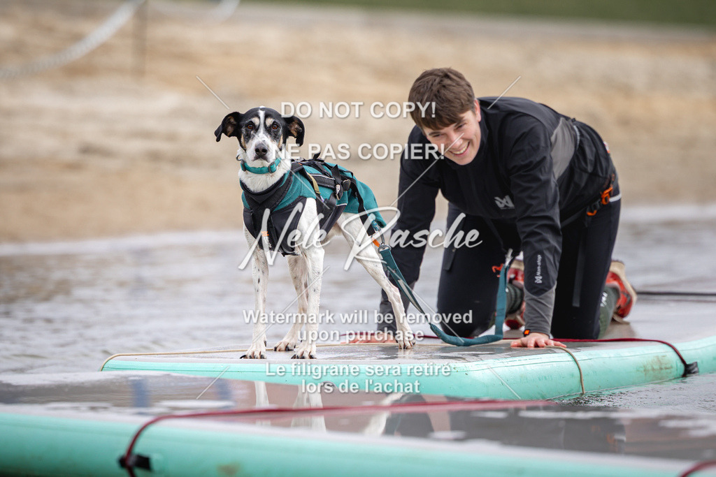 nelerasche_Hulsbeek_Sa1130-1230_662 | nelerasche