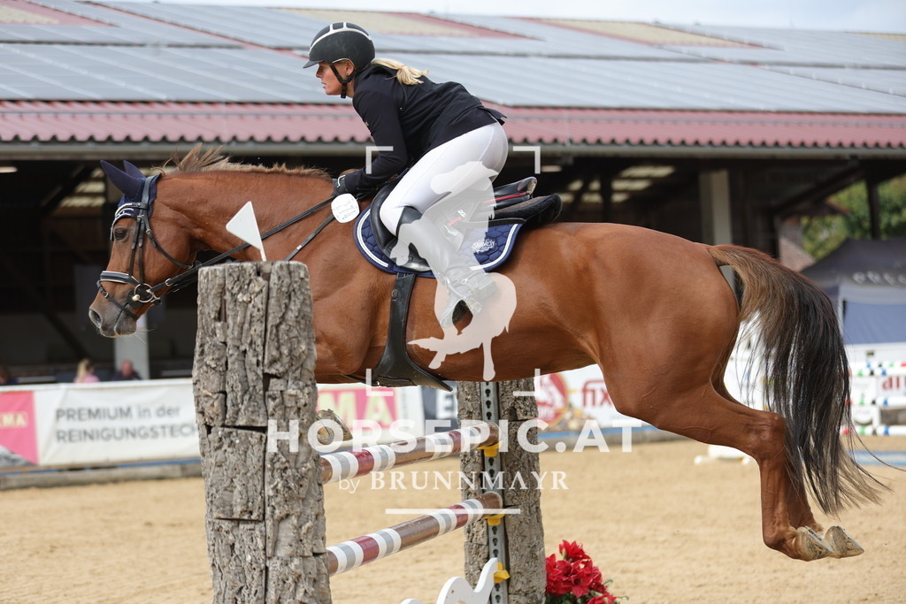 0P6A6796 | Willkommen bei Brunnmayr - Design & Fotografie – Ihrem Spezialisten für Reitturniere und Pferdeveranstaltungen in Oberösterreich, Salzburg und Bayern! Seit über 17 Jahren sind wir leidenschaftlich dabei.