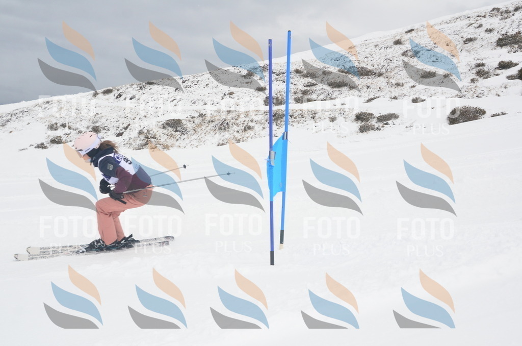 A5801 | holidayphoto